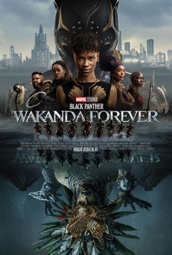 შავი პანტერა 2: ვაკანდა სამუდამოდ | shavi pantera: vakanda samudamod | Black Panther: Wakanda Forever
